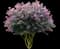 Muskogee Crape Myrtle Tree — design image 1