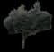 New Zealand Christmas Tree — design image 4