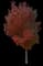 Red Maple Tree — design image 12