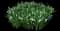 Summer Snowflake — design image 1