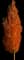 Armstrong Gold® Red Maple Tree — design image 2