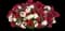 Evo-Centric Trixi® Calibrachoa — design image 1