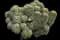 Saguaro Cactus — design image 2