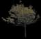 Honeylocust Tree — design image 6