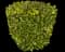 Waxleaf Privet Hedge — design image 2