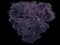 Smoketree — design image 9