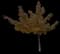 Silver Maple Tree — design image 21