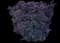 Smoketree — design image 5