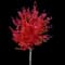 Maple Tree — design image 5