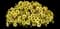 Cannonball® Yellow Petunia — design image 1