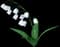 Lily of the Valley — design image 1