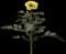 Marigold — design image 2