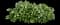 Comfrey — design image 2
