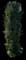 Indian Laurel Fig Column — design image 3