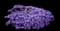 Bedazzled Lavender Phlox — design image 1