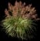 Pink Muhly Grass — design image 1