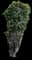 Chinese Banyan — design image 17