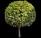 Sky Flower — design image 6