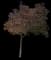 Norway Maple Tree — design image 12
