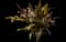 Asiatic poison lily — design image 2