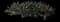 Oyster Plant — design image 2