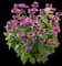 Leading Lady™ Plum Bee Balm — design image 2