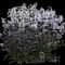 Onyx and Pearls™ Beardtongue (Penstemon) — design image 1