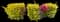 Sky Flower — design image 10