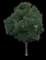 White Ash Tree — design image 2