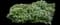 Comfrey — design image 3