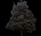 Crimson King Maple Tree — design image 3