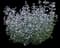 White Cloud Calamint (Calamintha) — design image 3