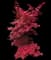 Pixie Japanese Maple — design image 1