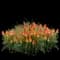 Pyromania® Hot and Cold Red Hot Poker — design image 5