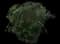 Papyrus Plant — design image 1