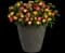 Lucky Charm Improved MixMasters™ — design image 2