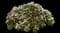 Candytuft (Iberis sempervirens) — design image 8