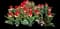 Tulip 'Match Triumph' — design image 1