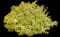 Abelia — design image 3