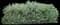 Viburnums — design image 1