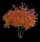 Autumn Brilliance Serviceberry Tree — design image 1