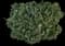 Holly Shrubs — design image 2