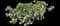 Carol Mackie Daphne — design image 9