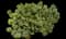 Mission lettuce — design image 1