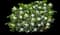 Jubilation™ Gardenia Shrub — design image 1