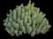 Moroccan mound — design image 1