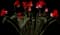 Persian Cyclamen — design image 2