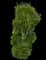 Fine Line® Buckthorn — design image 2