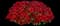 ColorRush Red - Petunia — design image 1