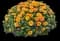Chrysanthemum (Orange) — design image 1